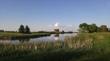 Nice, little park to go walking