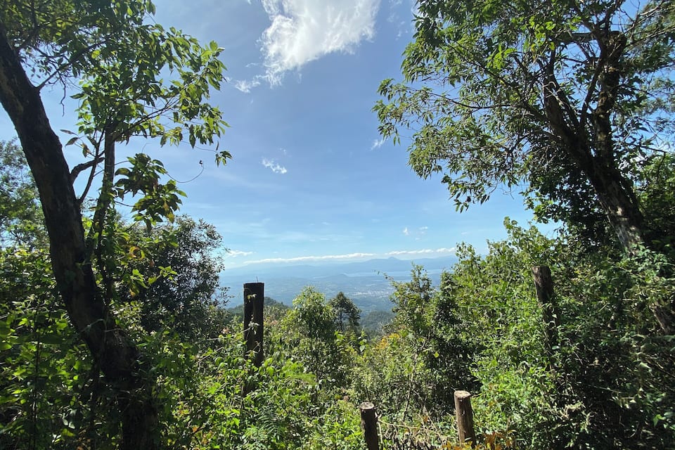 Un paysage boisé, avec un ciel dégagé et des montagnes à l'horizon.