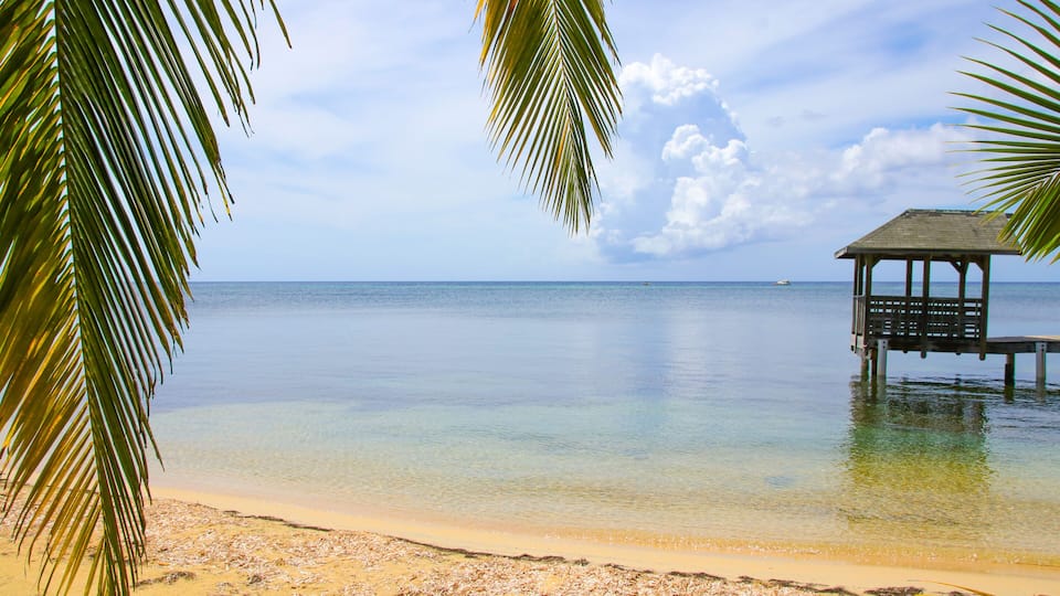 A beach with clear water, a wooden structure, and palm trees.