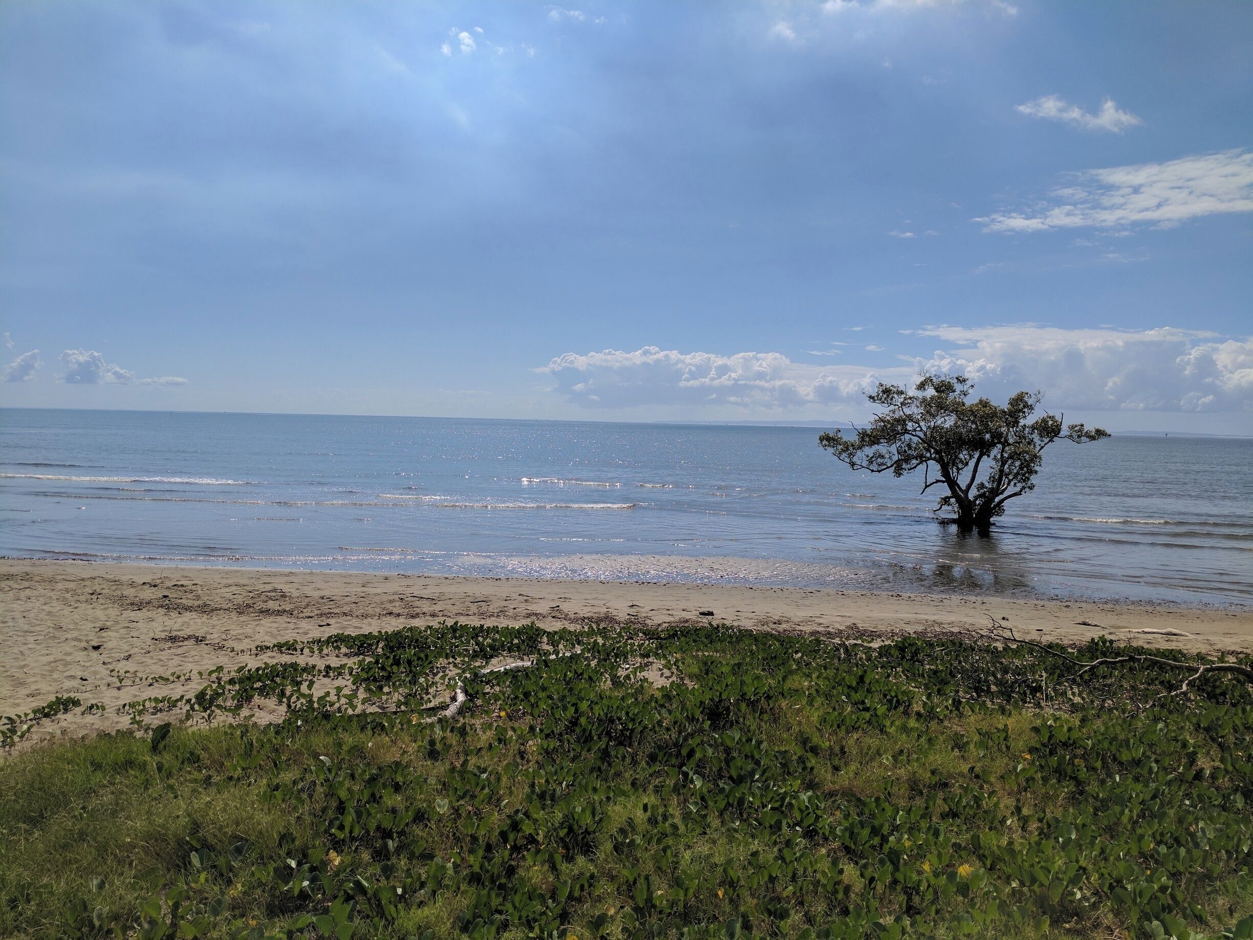 High tide at Nudgee Beach
