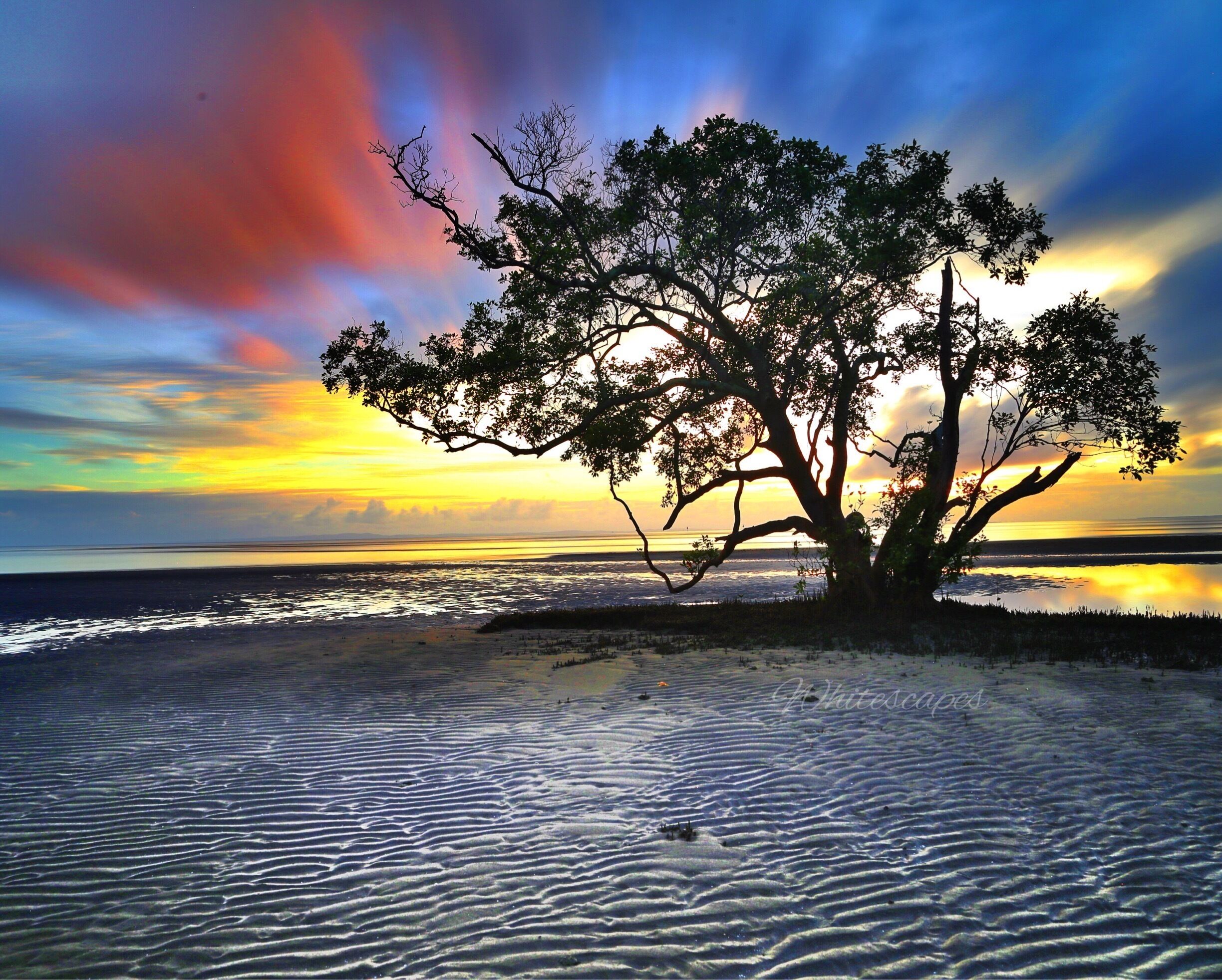 If you're heading to Brisbane for a visit or just looking for a peaceful morning over Moreton Bay, head to Nudgee Beach.  The mangroves are a photographers delight and the light is magical.  There is a bike track that runs by this spot so you can even get some exercise along the way.  Nudgee Beach also has some "green rooms" where you can pitch a tent.  Remember one thing, insect repellant. The mosquitoes are relentless. Enjoy! @queensland @australia #goldenhour