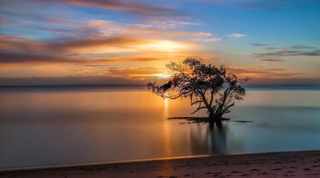 Thought Iâd have another shot at the lone tree at Nudgee beach this morning