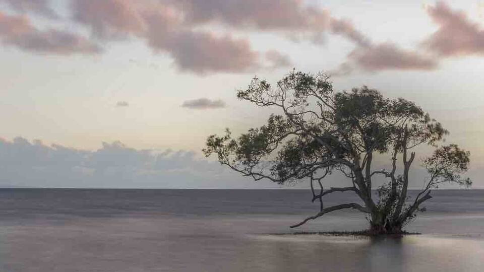 Photographed at Sunrise- Summer Time.