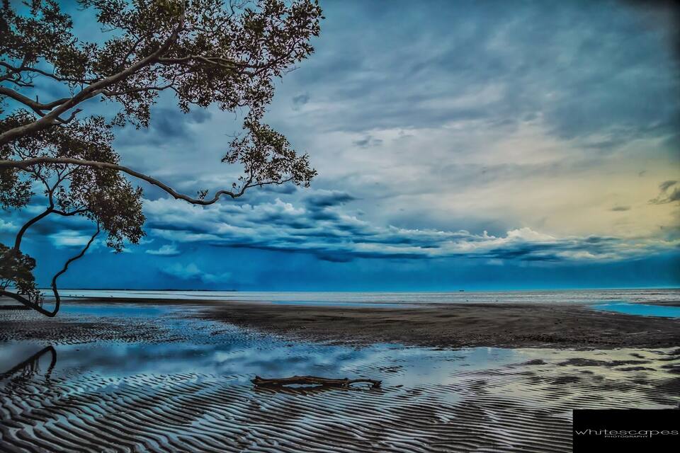 Uma praia com um galho de árvore projetando-se, céu nublado e água calma refletindo o céu.