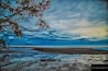 A beach with a tree branch overhanging, a cloudy sky, and calm water reflecting the sky.