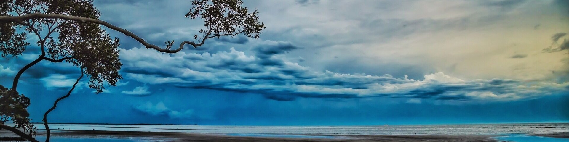 If you enjoy watching the clouds roll out to sea in the afternoons around sunset, Nudgee Beach is a great place to do it. When the tides are low the horses and dogs love to run. The reflections are great amongst the mangroves too.
