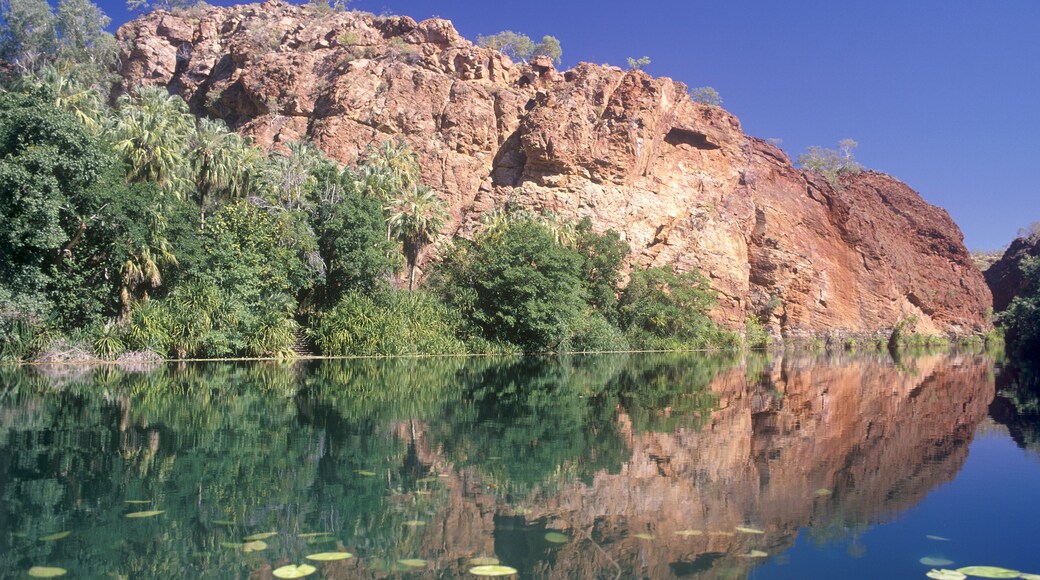 Lawn Hill Gorge in Lawn Hill National Park, Queensland, Australia., Shutterstock ID 775616365, Purchase Order: -