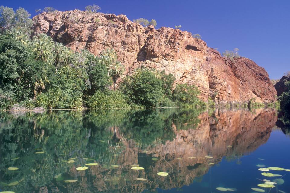 A calm river reflecting a rocky cliff with dense vegetation.