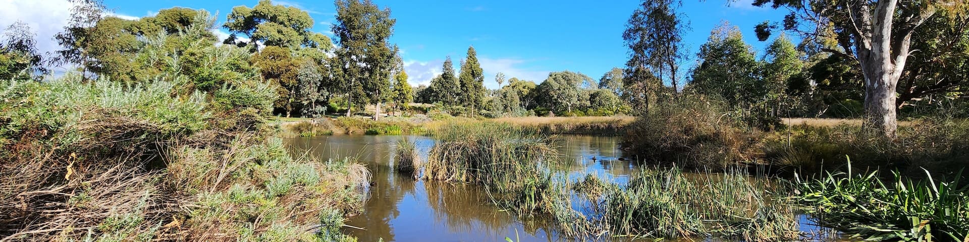 Oaklands Wetland and Reserve, South Australia