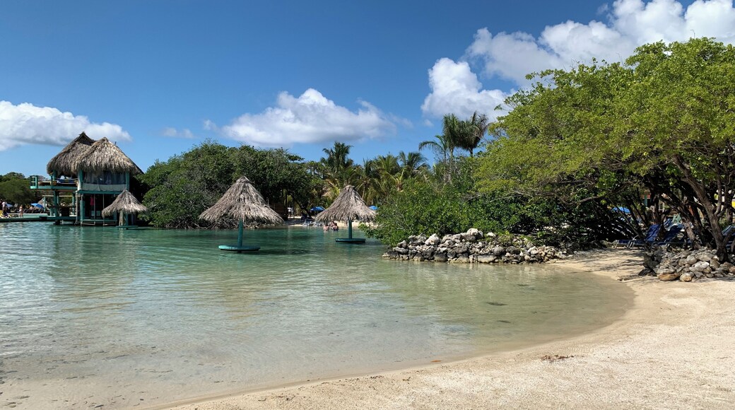 #Roatan #Honduras #LittleFrenchKey #beach #island
Numa parada de um cruzeiro na ilha de Roatan, em Honduras, resolvemos fazer uma excursão a Little French Key. Depois de uma breve travessia de lancha chegamos à Ilha que é um resort particular e é muito bem cuidada. Tem bares, cadeiras de praia, redes, guarda-sois e outras amenidades. Embora eu não seja muito a favor, tem até alguns animais em jaulas (leões pequenos e uma onça) e outros soltos (macacos). Pulamos de cordas na água, fizemos snorkel, praticamos Stand up Paddle e nos balançamos sobre as águas azuis e verdes do Caribe. O almoço, escolhido individualmente de um cardápio reduzido, foi-nos servido na praia.
At a cruise stop on the island of Roatan, Honduras, we decideh, chosen individually from a reduced menu, was served to us on the beach.d to take a trip to Little French Key. After a short boat ride we arrived at the island which is a private resort and is very well maintained. It has bars, beach chairs, hammocks, umbrellas and other amenities. Although I disagree, there is a little zoo with small lions and an ounce. Also some monkeys for pictures. We jumped from ropes into water, snorkelled, practiced Stand up Paddle and swayed over the blue and green waters of the Caribbean. The lunc