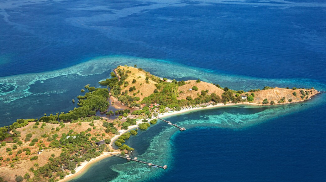 ์ธ๋ผ์ผ ์ผ์น ์์ผ๋๋