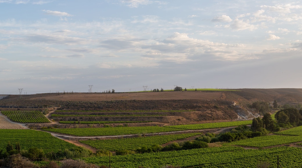 A landscape with terraced fields, a bridge, and power lines.