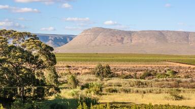 My blog about the second day of my Dragoman trip around Southern #Africa is live! Read about this beautiful place - Highlanders Campsite near #Citrusdal, South Africa đżđŠ
#LifeAtExpedia
#camping