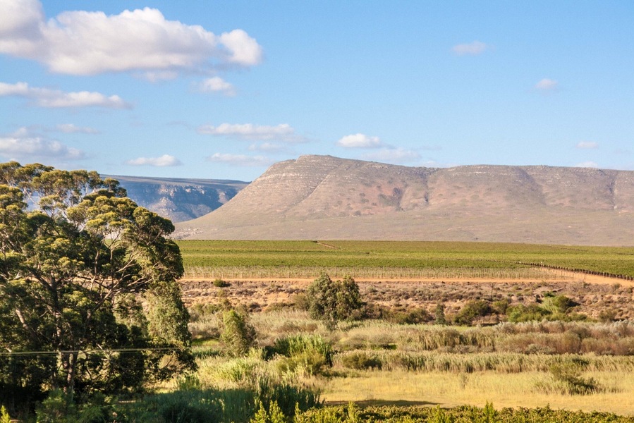 My blog about the second day of my Dragoman trip around Southern #Africa is live! Read about this beautiful place - Highlanders Campsite near #Citrusdal, South Africa 🇿🇦
#LifeAtExpedia
#camping