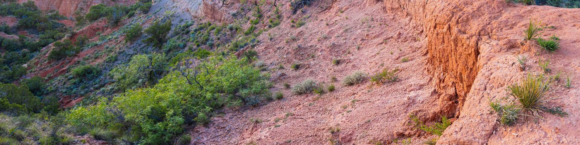 A rugged landscape with a prominent cliff and sparse vegetation.