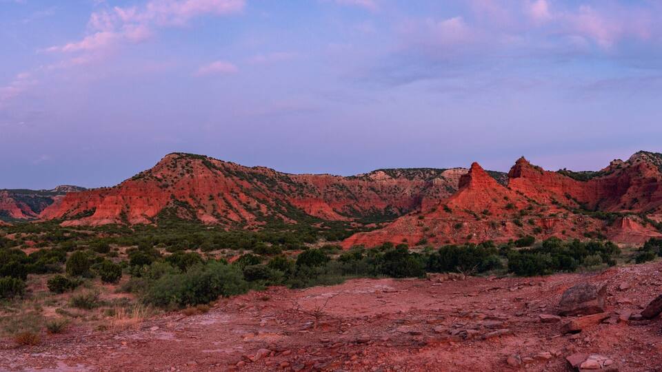 A desert landscape with red rock formations and sparse vegetation.