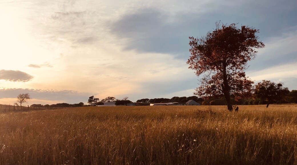 Fall in the middle of Texas.