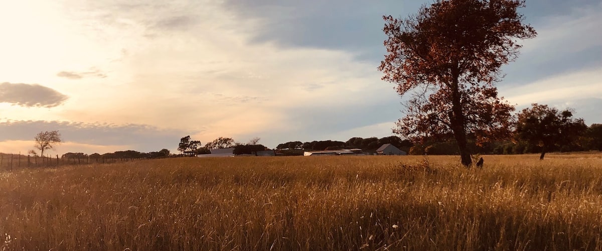 Fall in the middle of Texas.