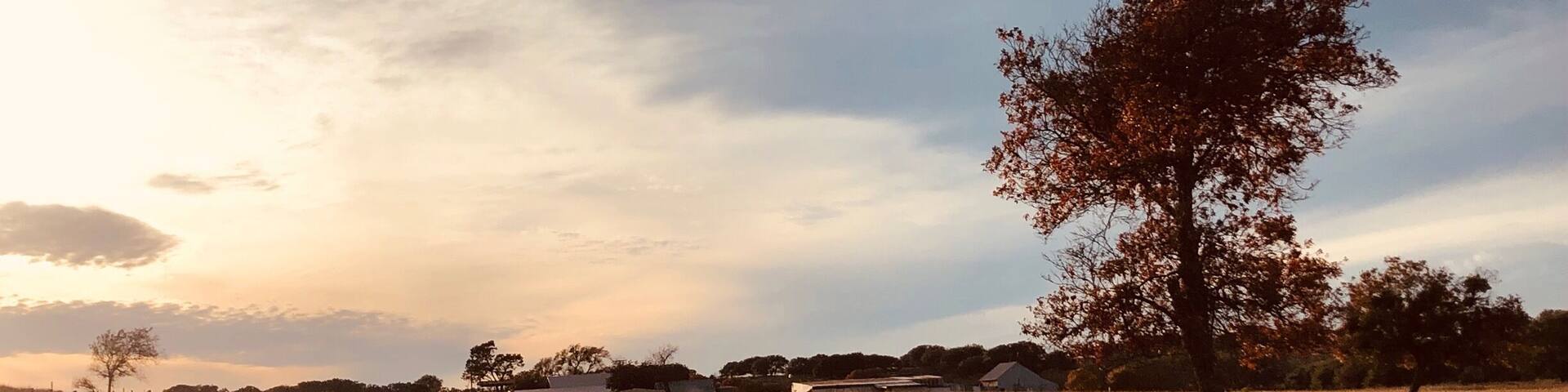 Fall in the middle of Texas.