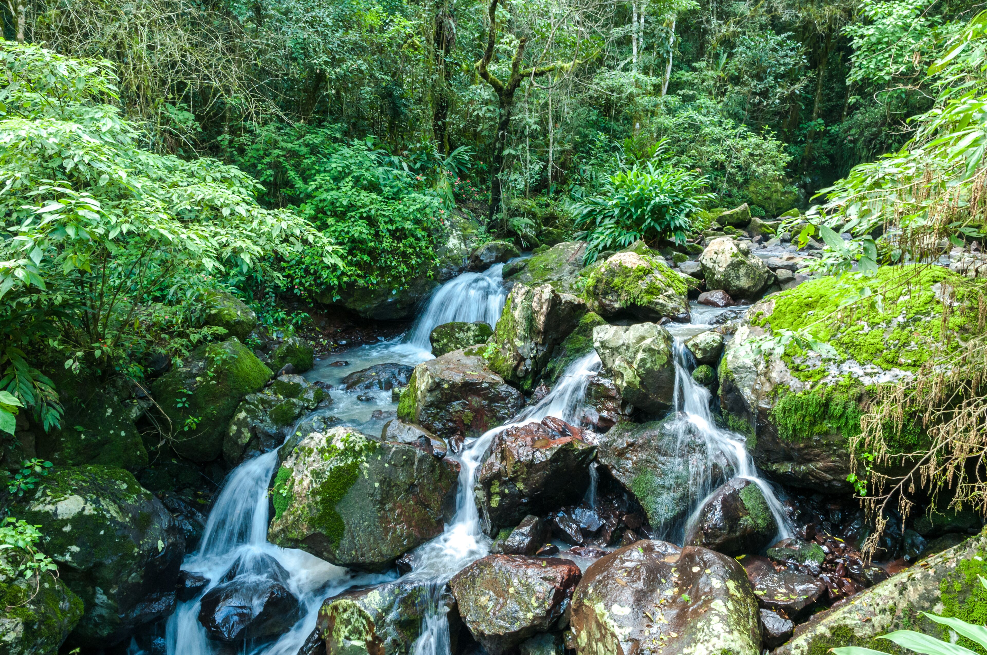 Cachoeira do Sul