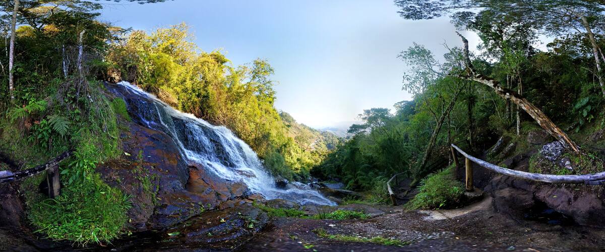 A waterfall surrounded by lush greenery and a clear sky.