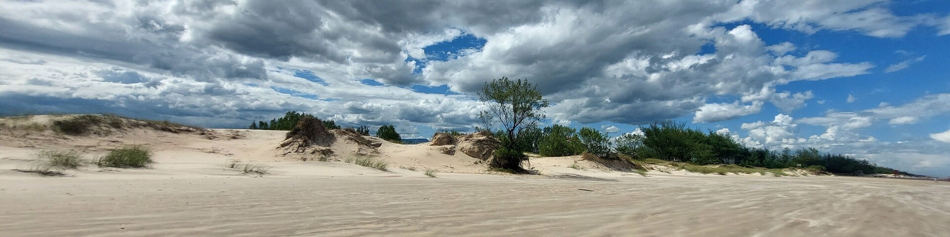 sand dunes and trees in arroio do sal , brazil