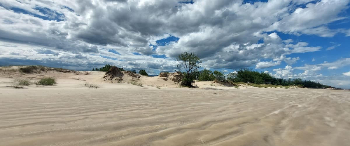 A desert landscape with sand dunes, sparse vegetation, and a partly cloudy sky.