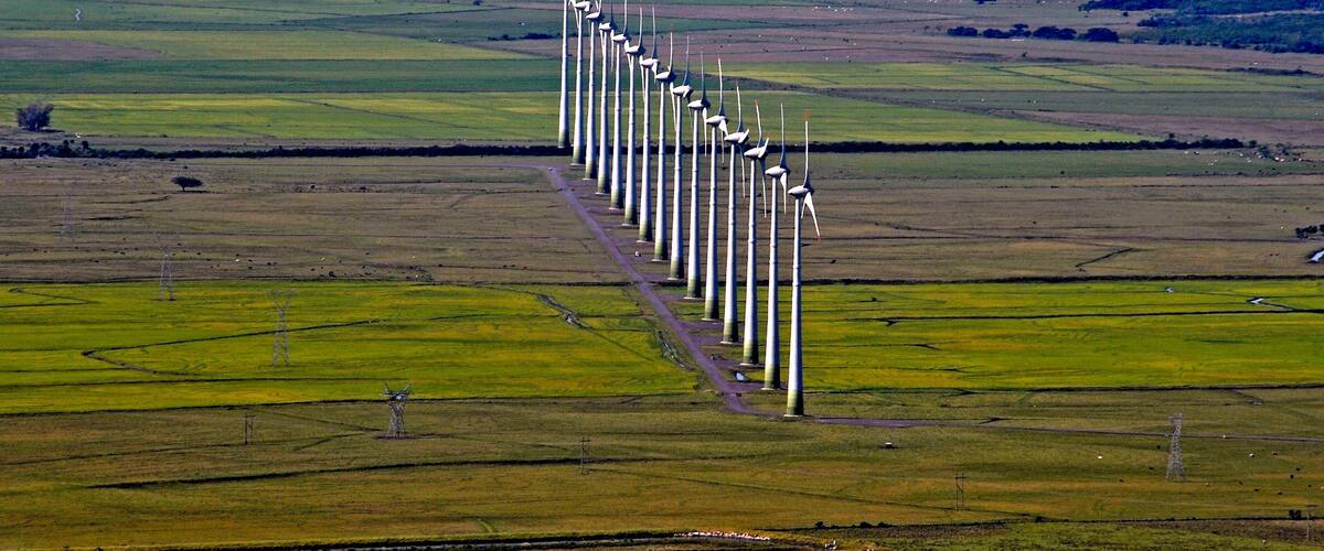 A wind farm with rows of wind turbines in a green field with a body of water in the background.