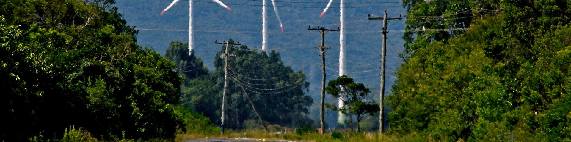 Una carretera con aerogeneradores a lo lejos, rodeada de vegetación y colinas.