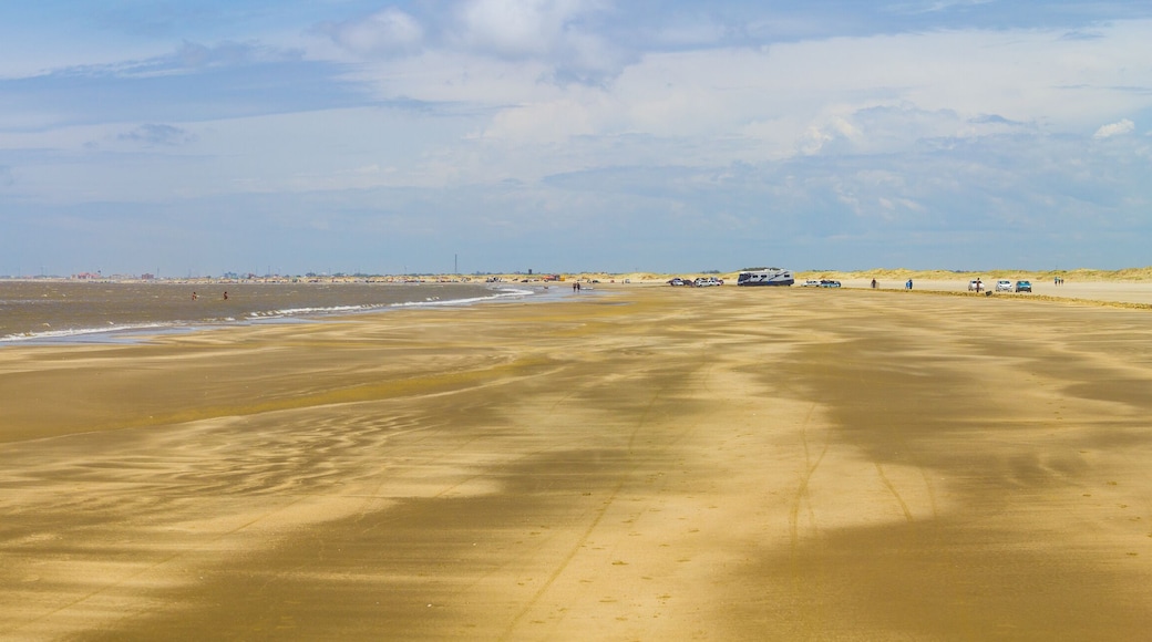 People, cars and sand in Cassino beach