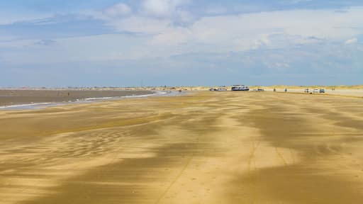 People, cars and sand in Cassino beach