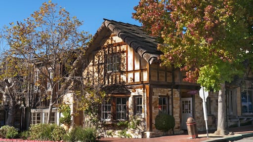 索克爾大道走廊