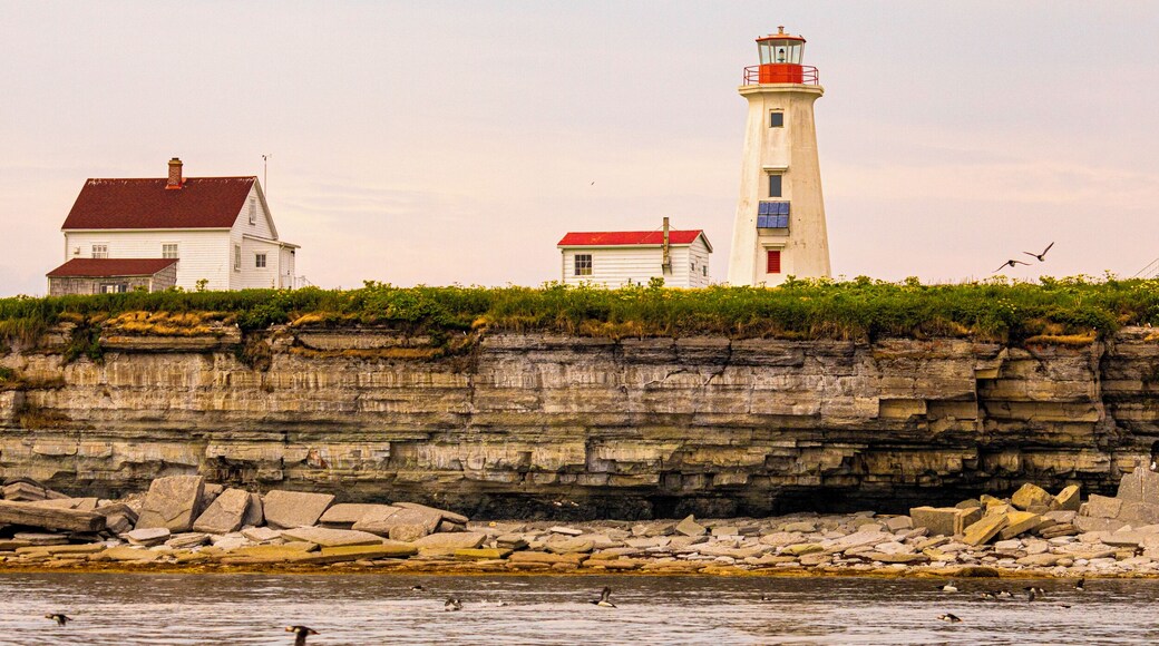A quick boat ride organize with the help from ''Camping de la Plage''(Famille Vibert) will get you to the islands. Plenty of Porpoise, rorqual, seal to see while on the boat and from the beaches. Go see the beautiful Atlantic Puffin, Razorbill who have made the Island of Parrot their home. #Nature