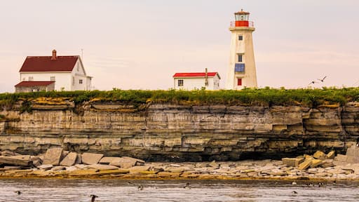 A quick boat ride organize with the help from ''Camping de la Plage''(Famille Vibert) will get you to the islands. Plenty of Porpoise, rorqual, seal to see while on the boat and from the beaches. Go see the beautiful Atlantic Puffin, Razorbill who have made the Island of Parrot their home. #Nature