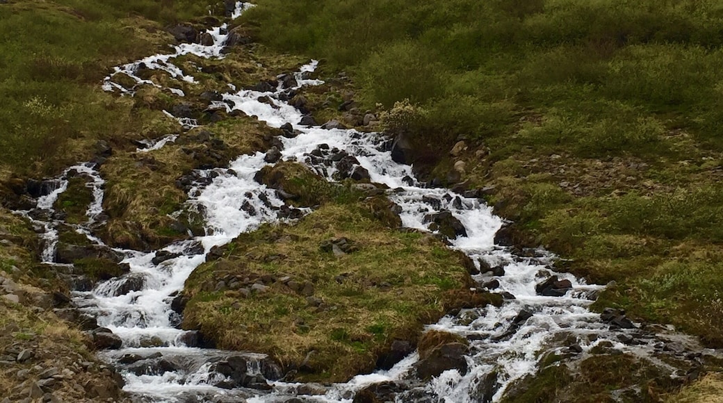 Driving from Holmavik to Isafjordur. Fjords are BEAUTIFUL!! Waterfalls EVERYWHERE!! These pictures simply can't do them justice. This was such a remote area, I saw under 10 other cars in my 4.5 hour drive. In fact, on that note, the drive is only suppose to take 3 hours, but the scenery was so beautiful I kept driving slower and slower to look at it all and "take it all in"... Not to mention stopping a lot to take pictures... I literally wanted to stop at every waterfall, but there were so many! At least 100 little random waterfalls on this 4.5 hour drive. So incredible!!!