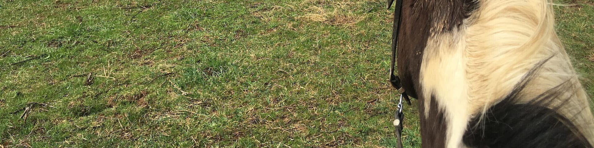 Meramec Farm's is located in a place called Bourbon, MO the town has been in operation since 1853. The name Bourbon refers to bourbon whiskey and is believed to be the only town in the United States to be named after bourbon whiskey
The Farm is set on the spring-fed Meramec River in East Central Missouri, Meramec Farm has been in the same family since 1811. It's a working cattle ranch surrounded by wild country. The ride begins at your cabin door!
In the Fall it is a great place to see the leaves change and in the Summer come down here to float the river!
#country #horses #outside #green #Missouri #place #cabin #historical #roadtrip #floating #camping #hills