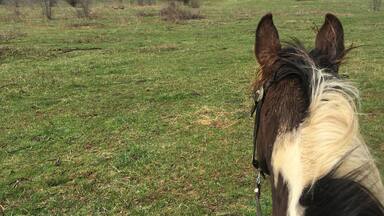 Meramec Farm's is located in a place called Bourbon, MO the town has been in operation since 1853. The name Bourbon refers to bourbon whiskey and is believed to be the only town in the United States to be named after bourbon whiskey
The Farm is set on the spring-fed Meramec River in East Central Missouri, Meramec Farm has been in the same family since 1811. It's a working cattle ranch surrounded by wild country. The ride begins at your cabin door!
In the Fall it is a great place to see the leaves change and in the Summer come down here to float the river!
#country #horses #outside #green #Missouri #place #cabin #historical #roadtrip #floating #camping #hills