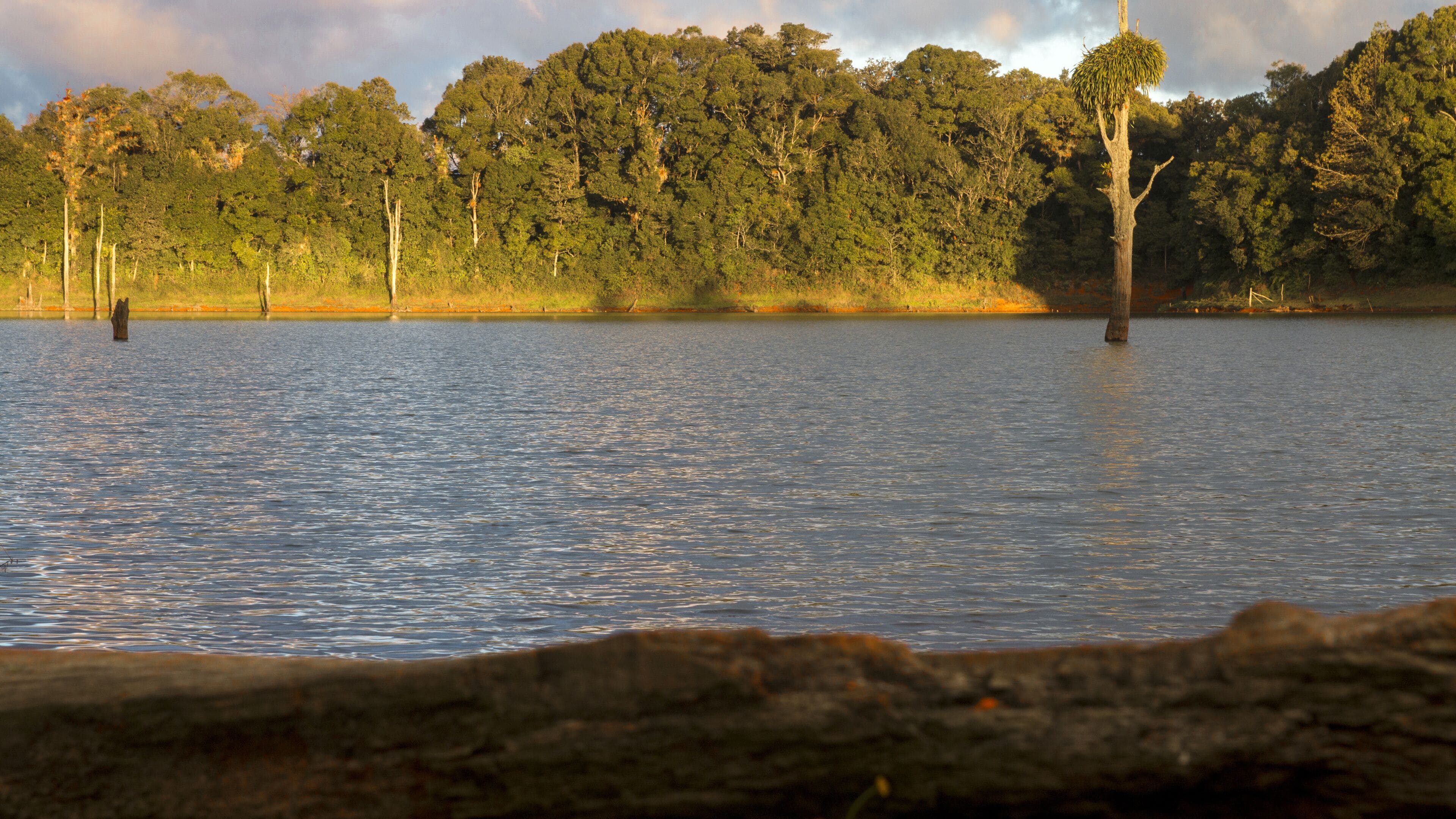 لا اسبيرانزا