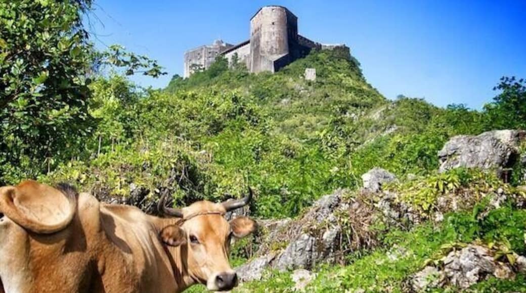 A must see if you're traveling in Haiti!