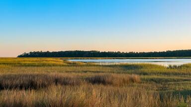 East River Marsh in the Brunswick Jekyll Island area, Georgia
