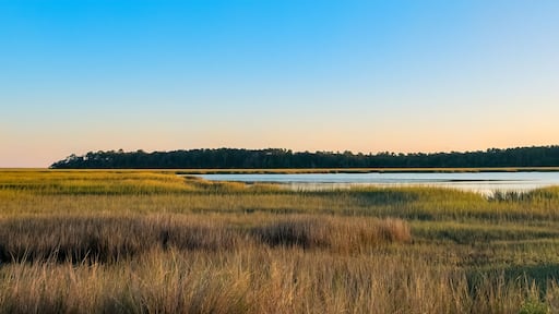 East River Marsh in the Brunswick Jekyll Island area, Georgia