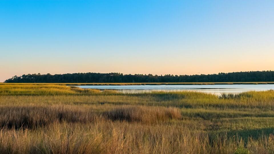 A coastal landscape with a sandy beach, grassy dunes, and a forested hill in the background.