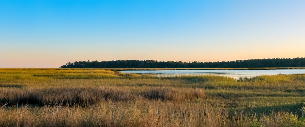A coastal landscape with a sandy beach, grassy dunes, and a forested hill in the background.