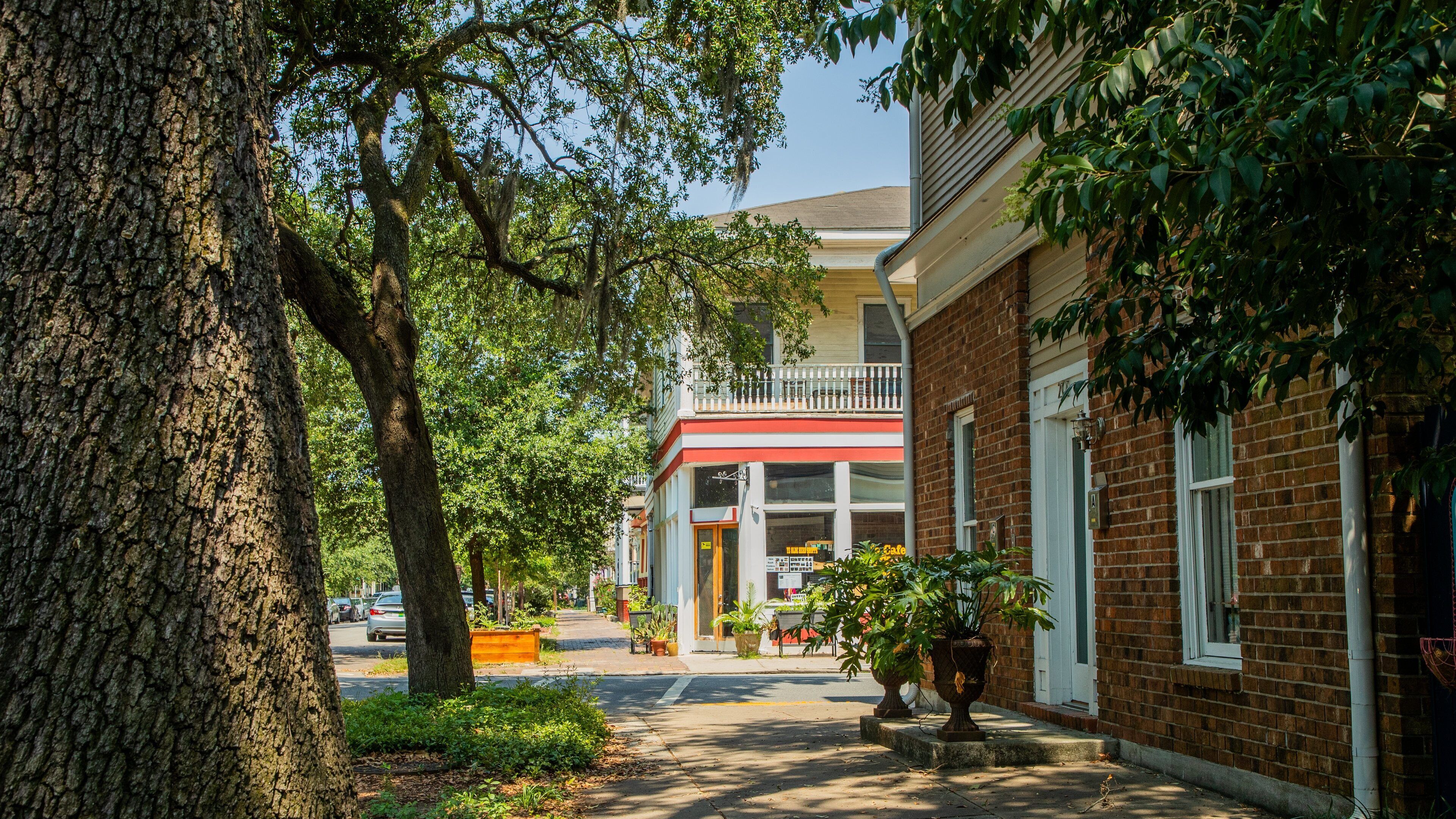 Savannah Victorian District