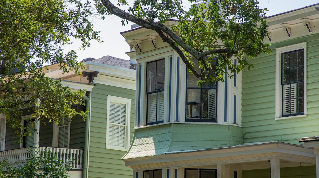 Savannah Victorian District