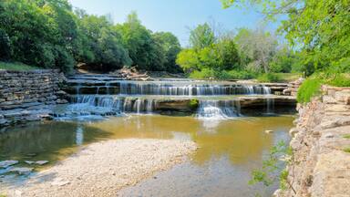 A large fallen tree is snagged at Airfield Falls along the Trinity Trails in west Fort Worth, Texas USA