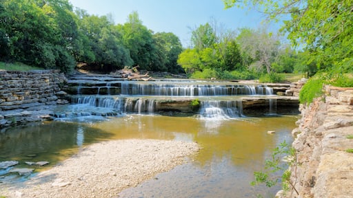 A large fallen tree is snagged at Airfield Falls along the Trinity Trails in west Fort Worth, Texas USA