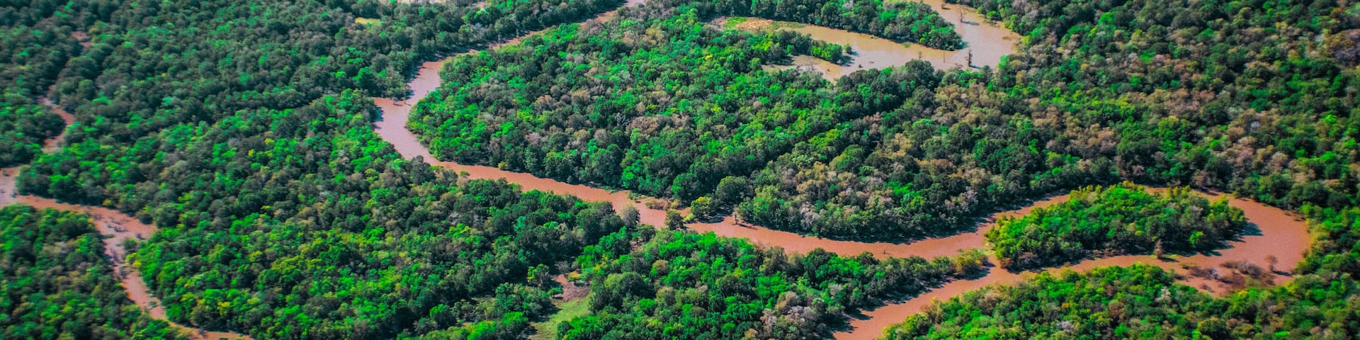 An aerial view of a river winding through a dense forest.