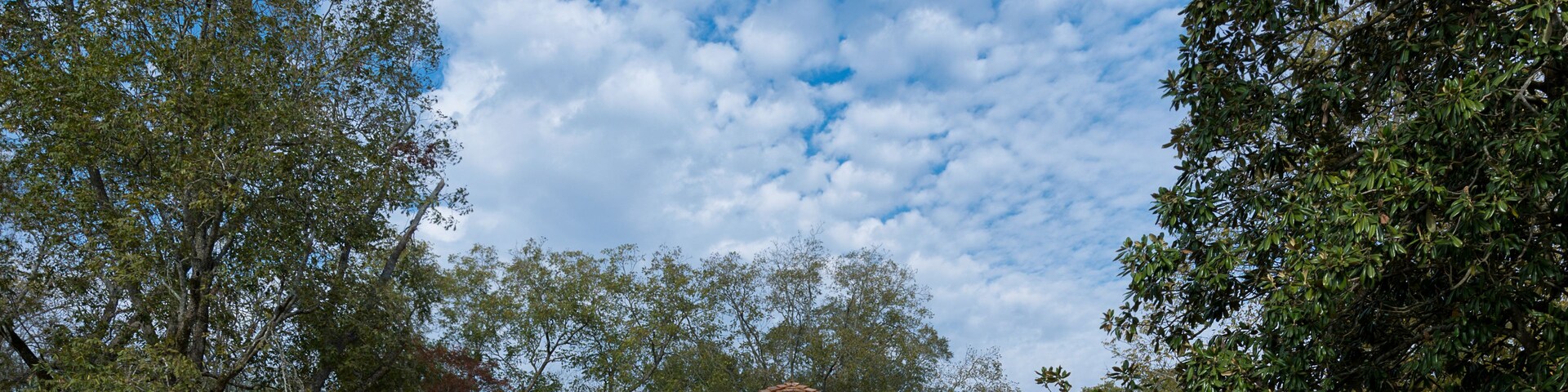 Une maison avec un toit brun, entourée d’arbres et sous un ciel dégagé.