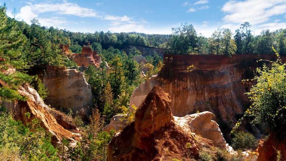 A canyon with prominent red rock formations and dense green forest.